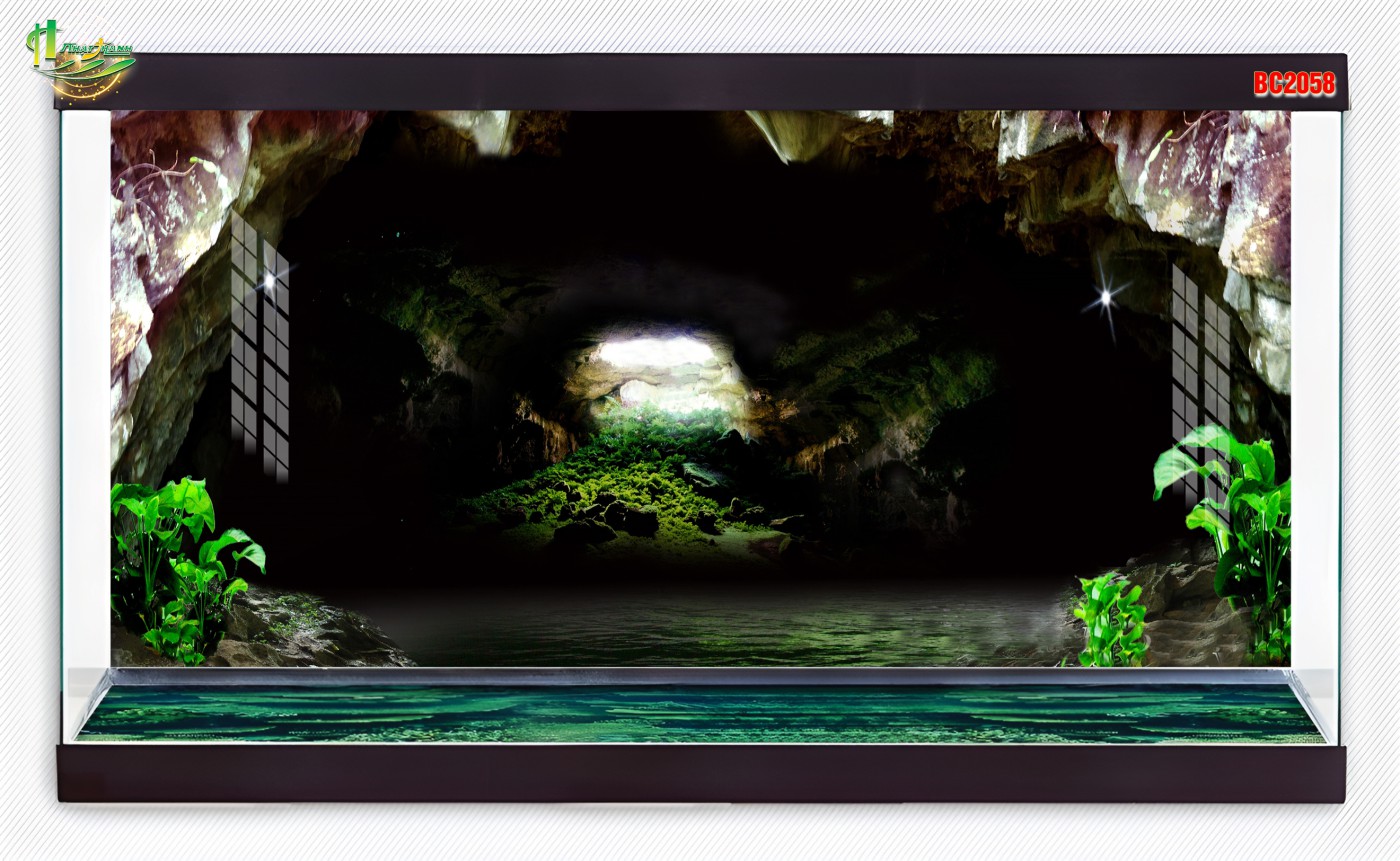 TBC56