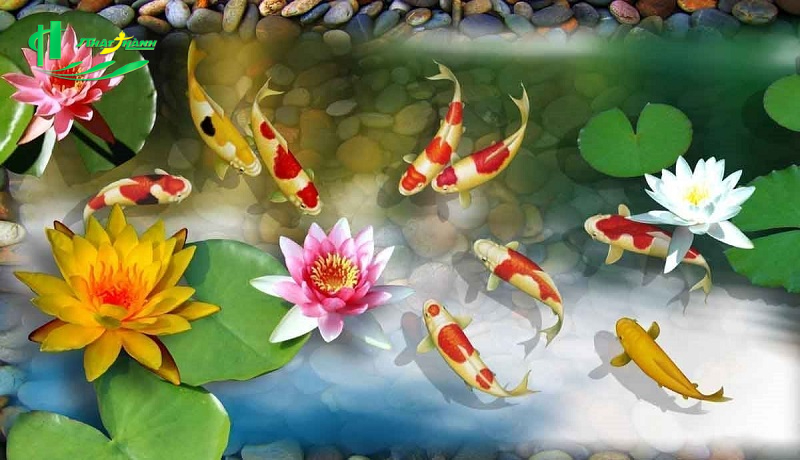 tranh cửu ngư hoa sen