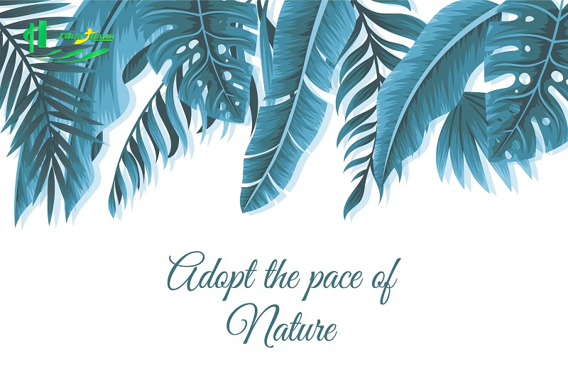 Tranh lá cây nhiệt đới Tranh lá cây nhiệt đới