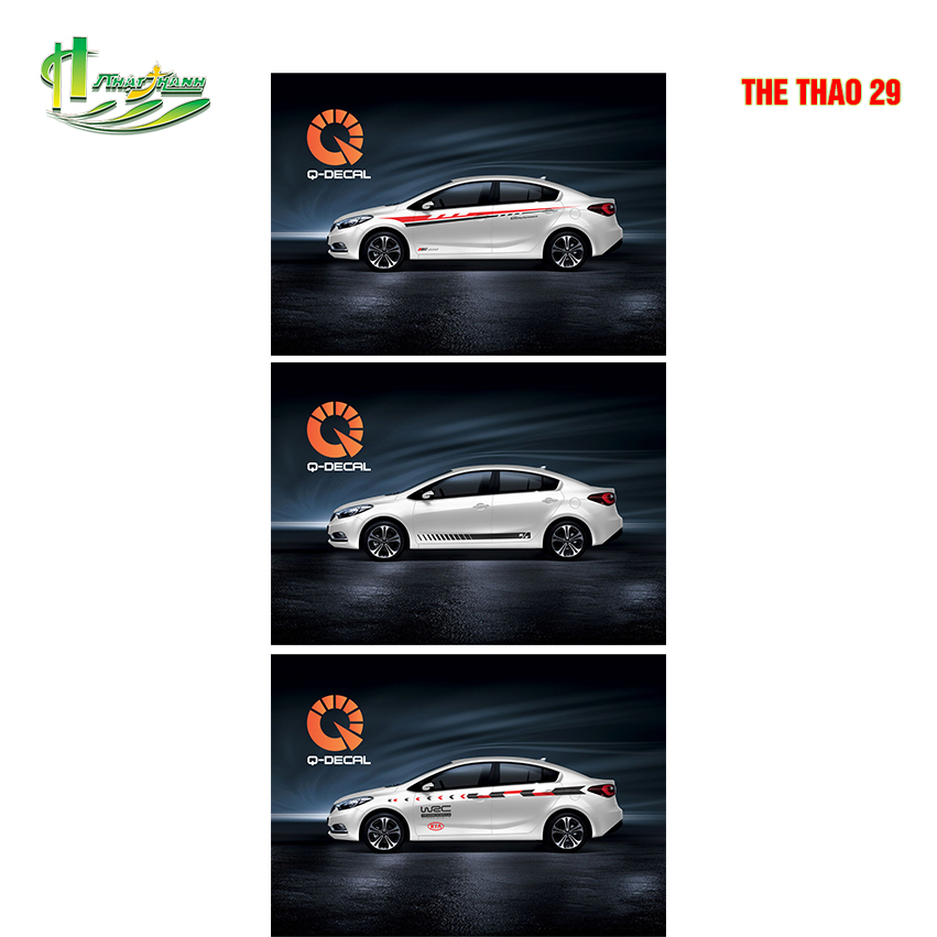 THE THAO 29